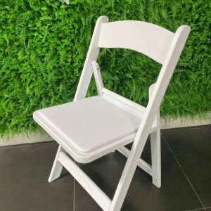 Rental Chair